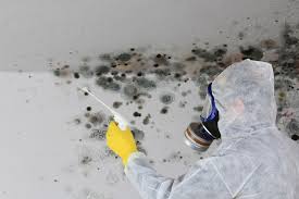 Best Mold Damage Restoration  in Las Quintas Fronterizas, TX